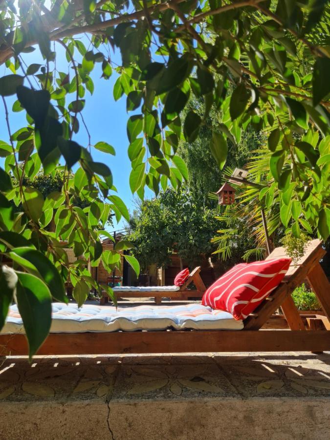Cabanas Refugio Nativo 圣克鲁兹 外观 照片